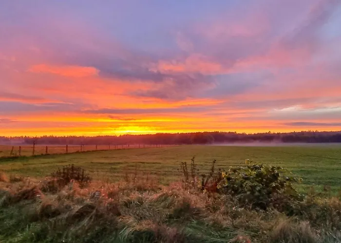 1 Bedroom Stunning In Rekowo 펜션 Rekowo (Bytow)