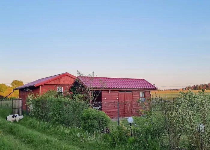 1 Bedroom Stunning In Rekowo *